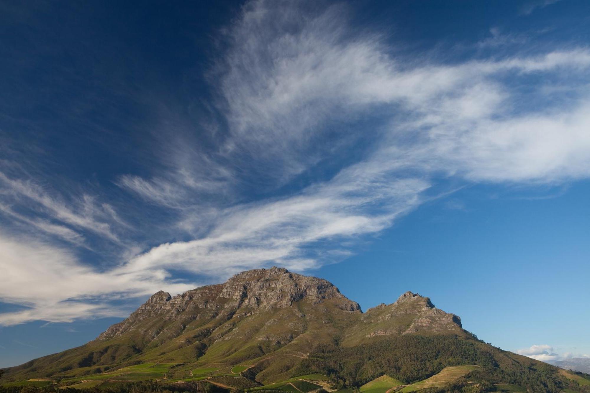 Готель Clouds Estate Стелленбос Екстер'єр фото